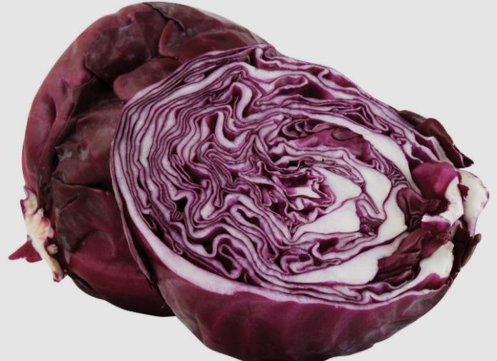 Screenshot_20251027-225835_Google