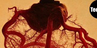 Zapanjujuće lijepa unutarnja struktura srca