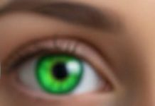 Australski znanstvenici razvijaju prvo potpuno funkcionalno bioničko oko koje vraća vid