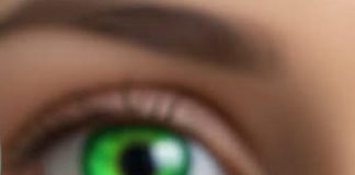 Australski znanstvenici razvijaju prvo potpuno funkcionalno bioničko oko koje vraća vid