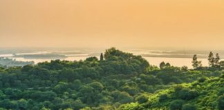 Amazona skriva 15 različitih naselja, povezanim velikim ravnim cestama