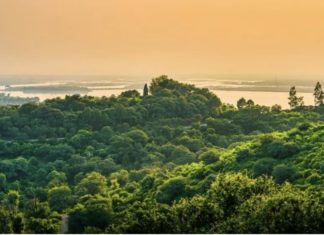 Muzika od 432 Hz dobro doprinosi snižavanju krvnog tlaka i izazivanju opuštenijeg stanja u tijelu