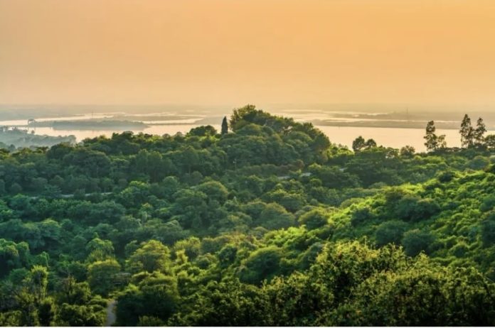 Screenshot_20251125_113338_Samsung Internet