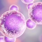 Stanice se razlikuju jedni od drugih