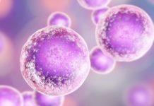 Stanice se razlikuju jedne od drugih