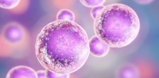 Stanice se razlikuju jedne od drugih