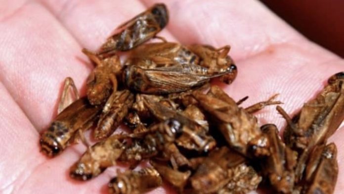 Screenshot_20251217_093236_Google