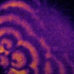 Prvi put zabilježien najraniji uočljivi događaj koji označava početak ljudskog života