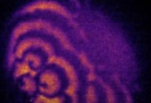 Prvi put zabilježien najraniji uočljivi događaj koji označava početak ljudskog života