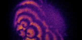 Prvi put zabilježien najraniji uočljivi događaj koji označava početak ljudskog života