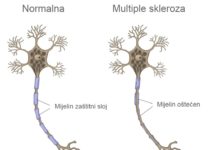 Ekskluzivno: TALIJANSKI ZNANSTVENICI OTKRIVAJU TRIK S VIRUSOM