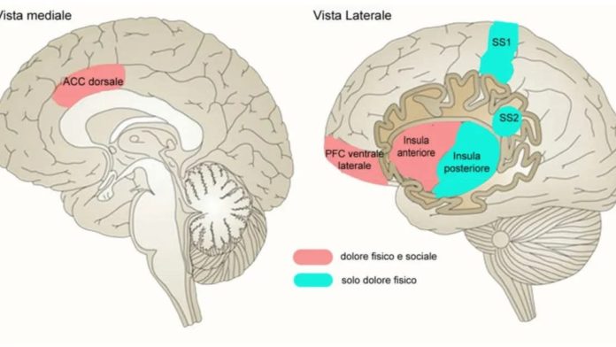 FB_IMG_1771094919012