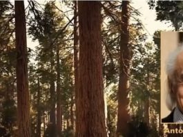 Teorijski fizičar Antonino Zichichi: “CO₂ nije “apsolutno zlo”, već temeljni element života na planetu!”