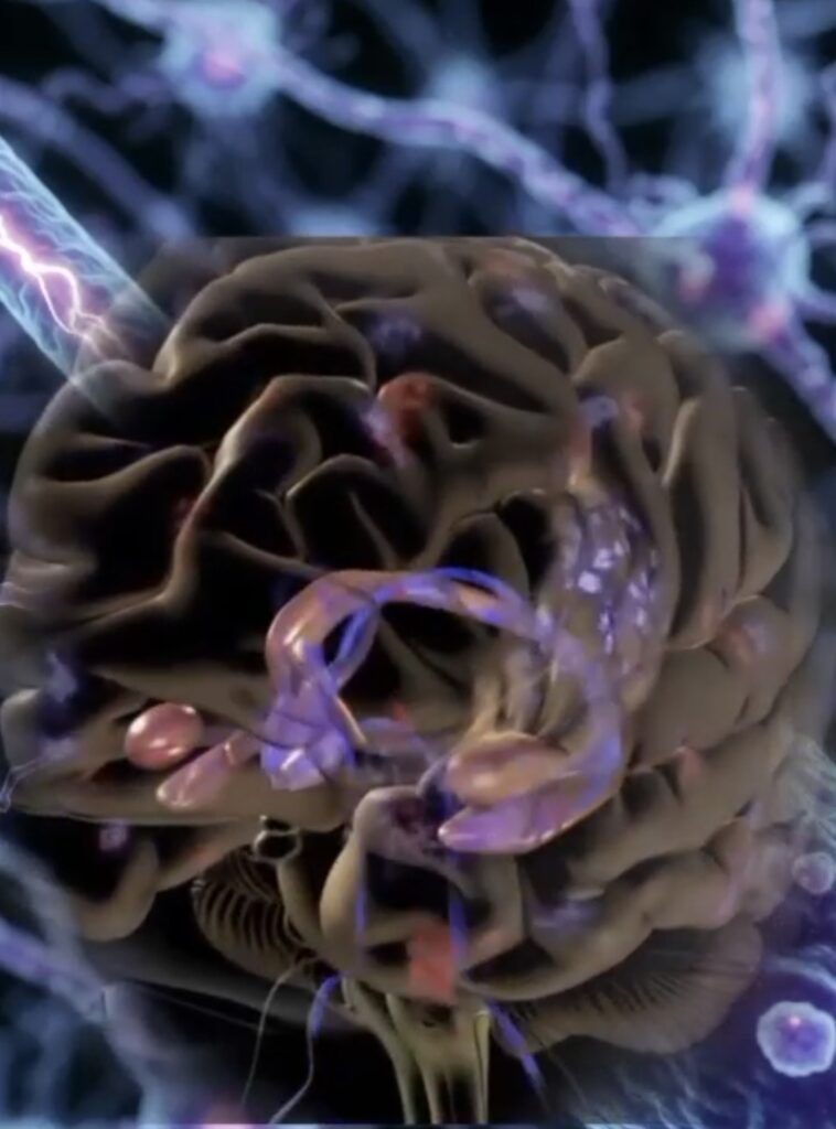 Screenshot_20260317_194710_WhatsApp