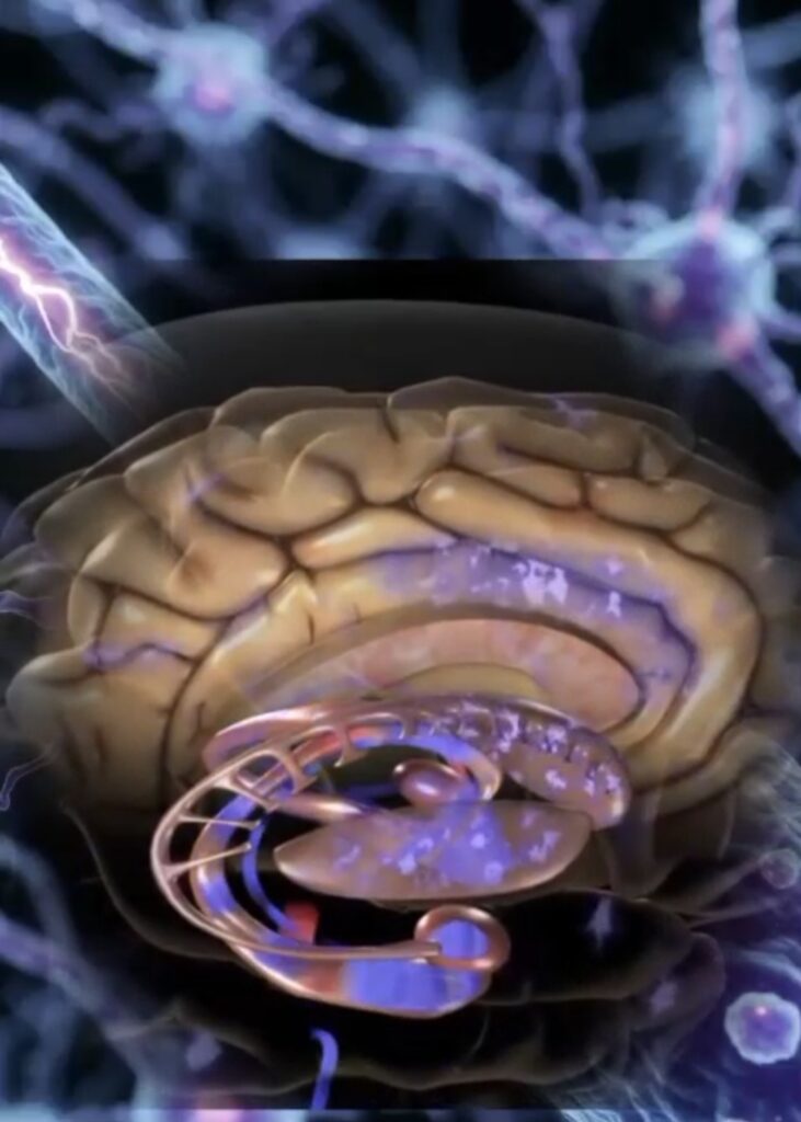 Screenshot_20260317_194719_WhatsApp