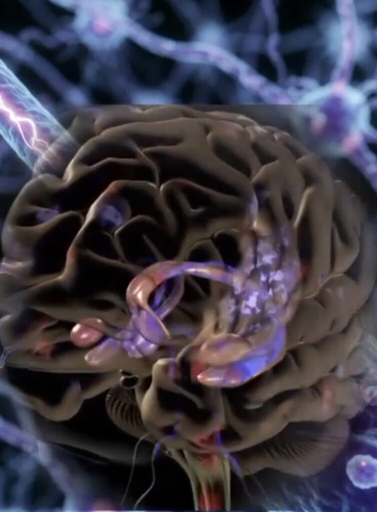 Screenshot_20260317_194727_WhatsApp