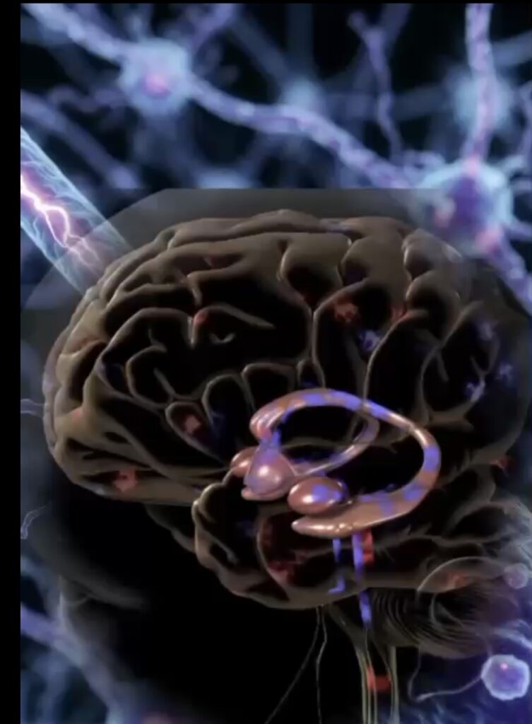 Screenshot_20260317_194932_Studio