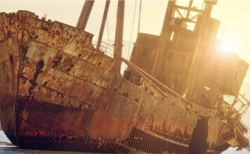 Oplodnja oceana željezom povećala je rast algi