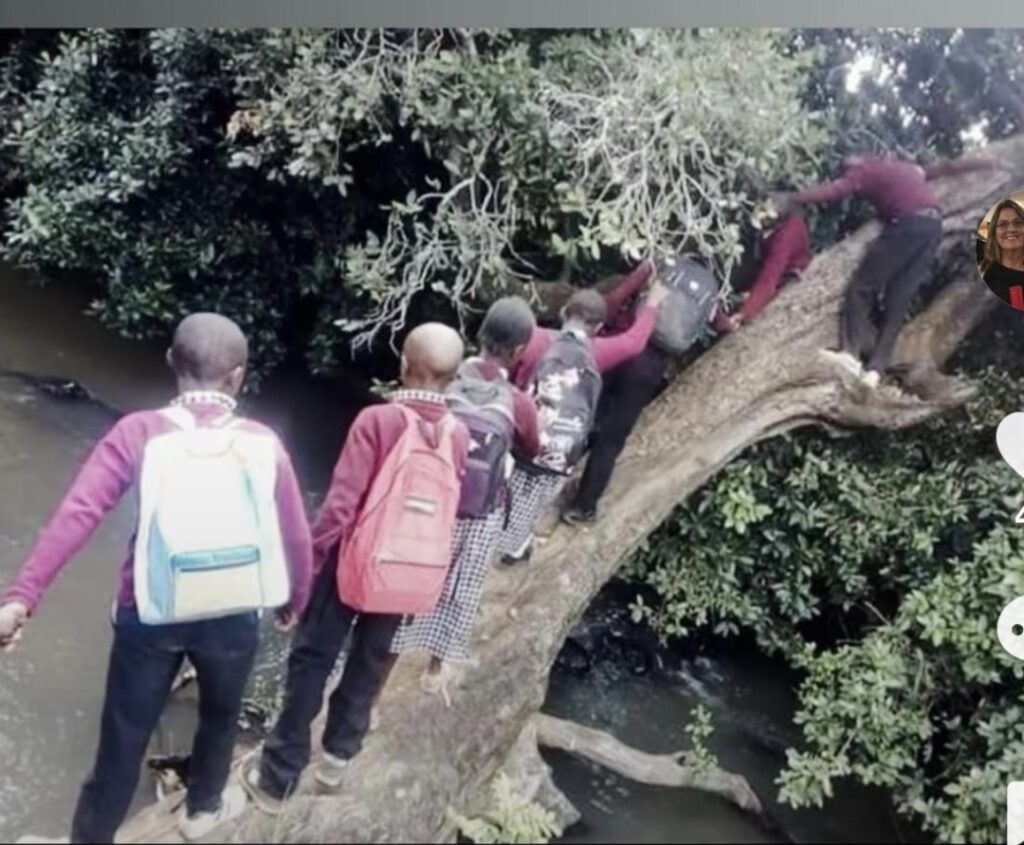 Screenshot_20260422_004042_WhatsApp