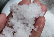 Stručna analiza koja osporava teze klimatskih promjena