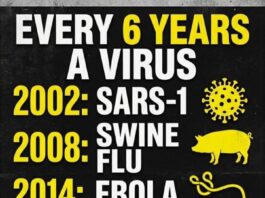 DARPA planira koristiti cvrčke skakače, bijele mušice i lisne uši za unošenje odabranih virusa u usjeve!