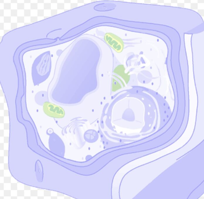 Screenshot_20260926_071553_Google